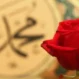Seher333